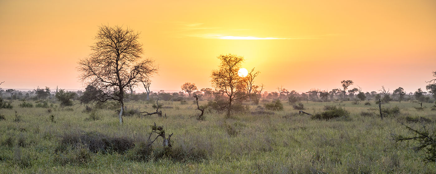 Sunset over the Kruger