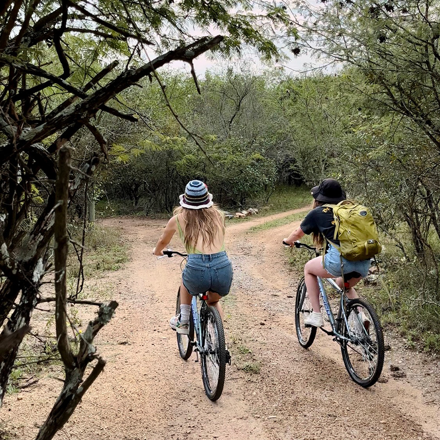 Bicycling through the Marloth Game Reserve