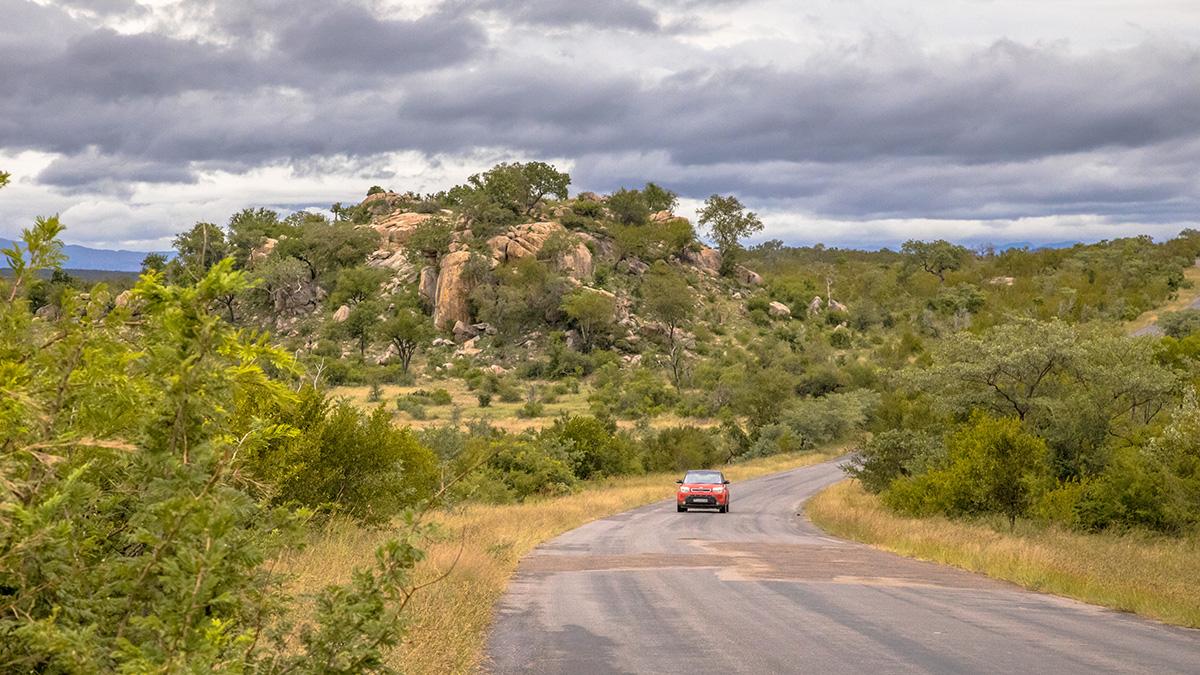 Car doing self drive through the Kruger National Park