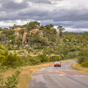 10 Self Drive Tips For The Kruger Park