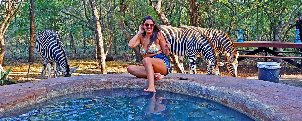 Relaxing by the pool with Zebra as company
