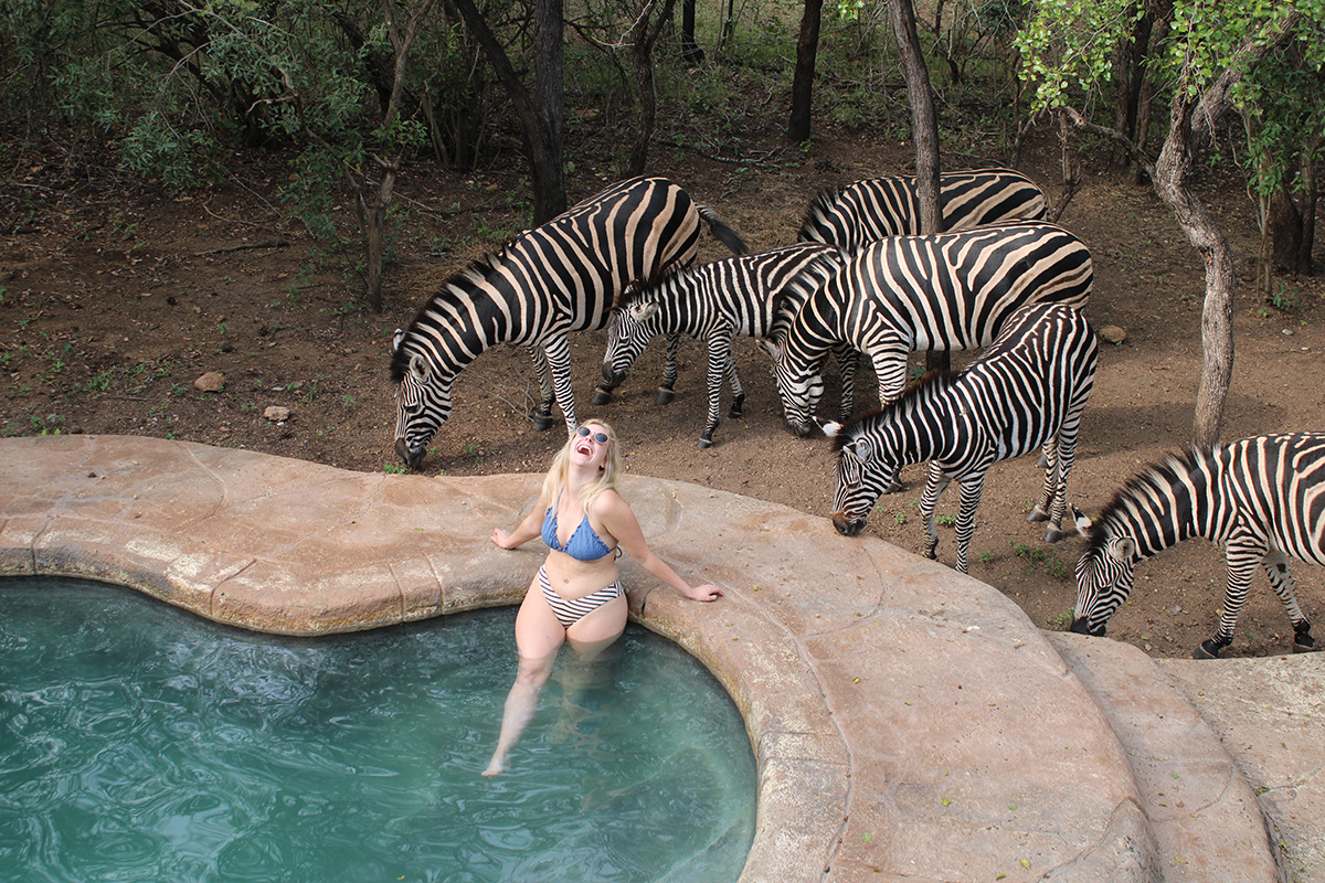 Enjoying the Pool at Kruger Park Hostel surrounded by Zebra