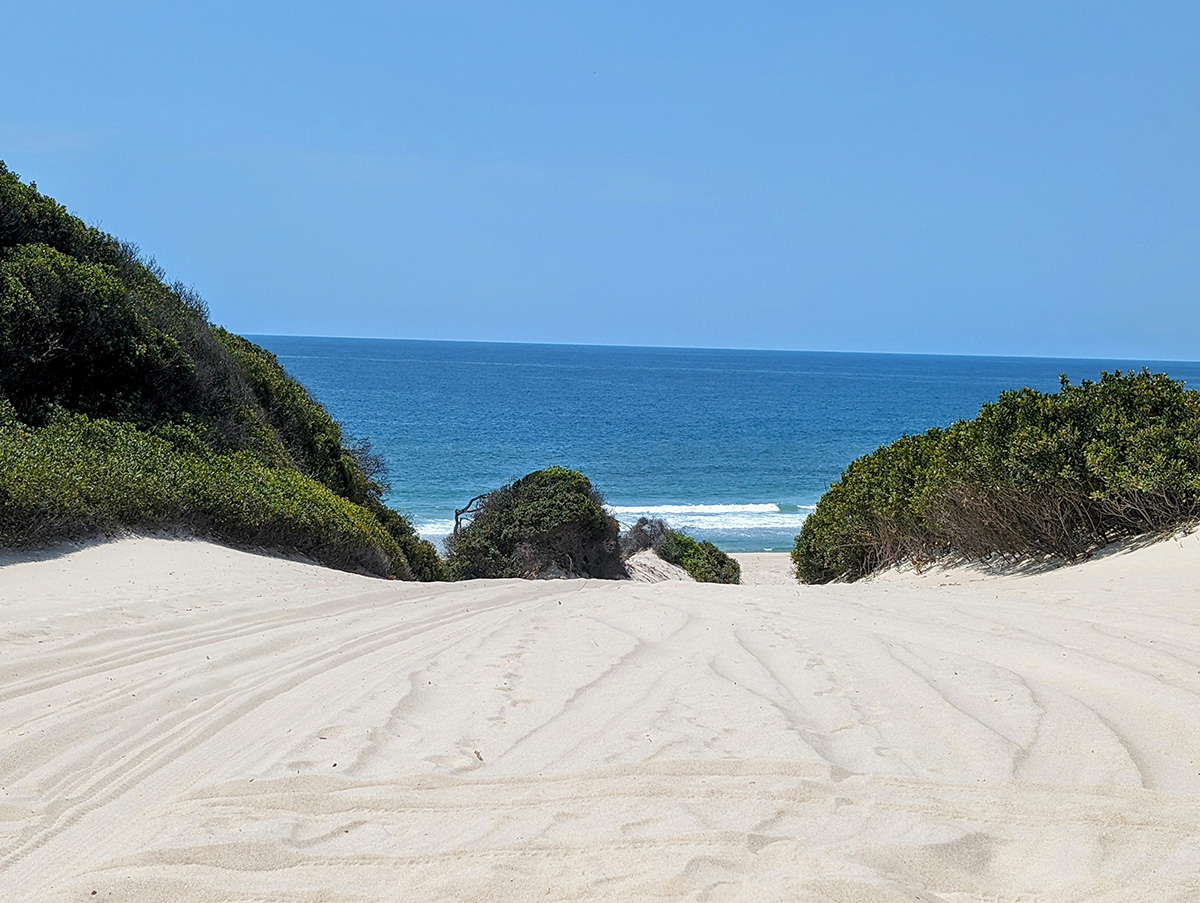The view of the beach from the dunes