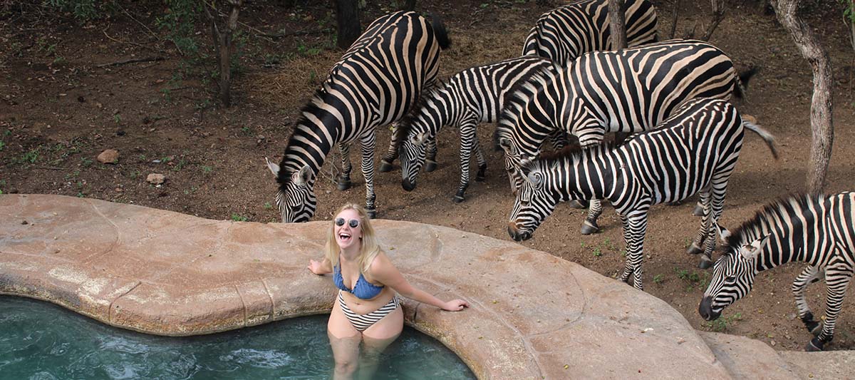 Guest in the Swimming Pool at Kruger Park Hostel surrounded by Zebra