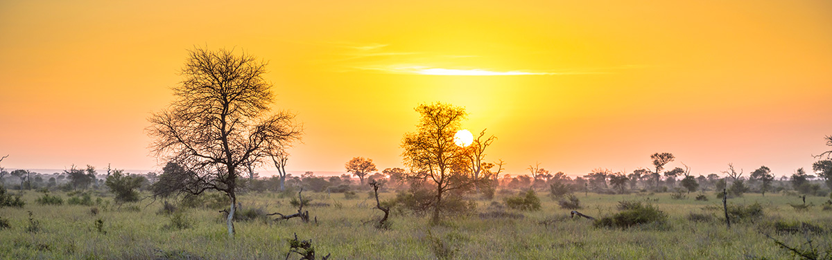 Sunrise in the Kruger National Park, while on Camping Safari