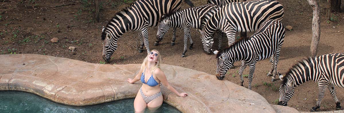 Guest at Poolside surrounded by Zebra