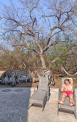 Zebra and guest at Kruger Park Hostel