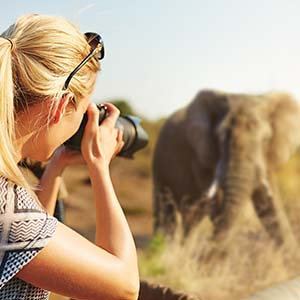 Which Is The Best Safari Country In Africa