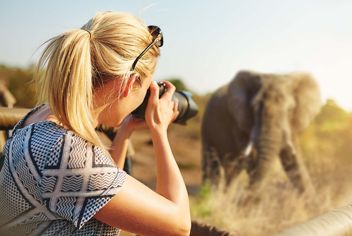 Which is the Best Safari Country in Africa?