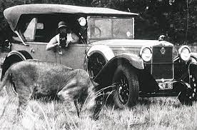 vehicle in the Kruger National Park at lion sighting in the 1950's