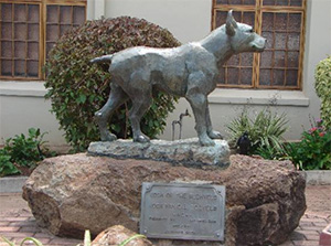 Jock of the Bushveld Memorial