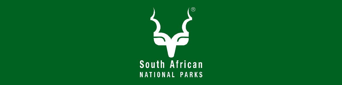 Kruger Park on a budget