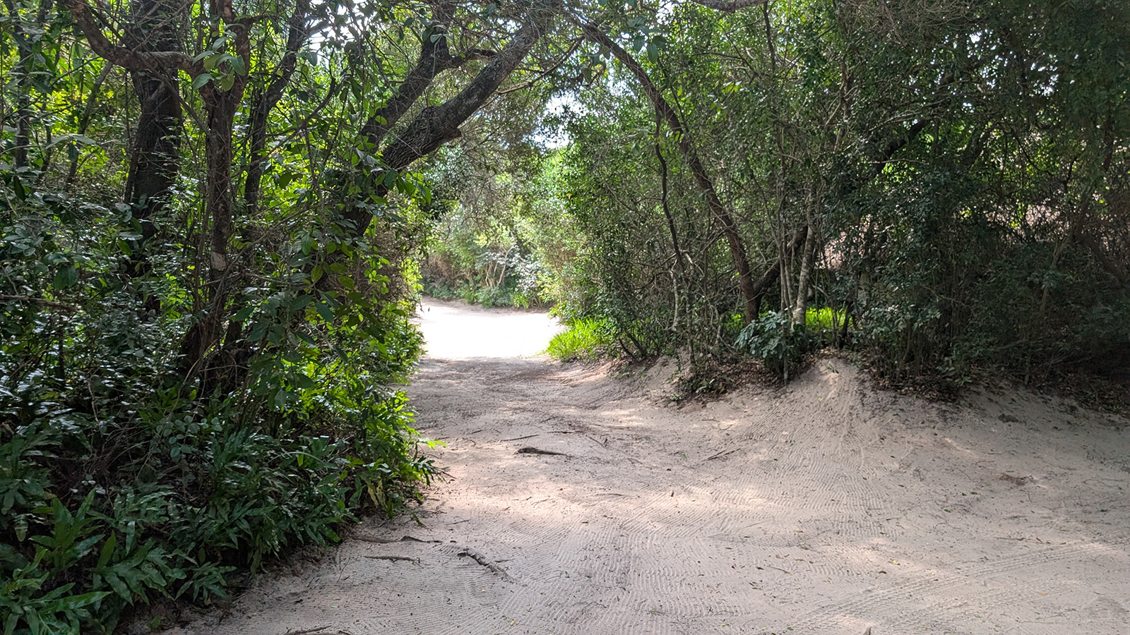 Dune Beach Hostel image 6