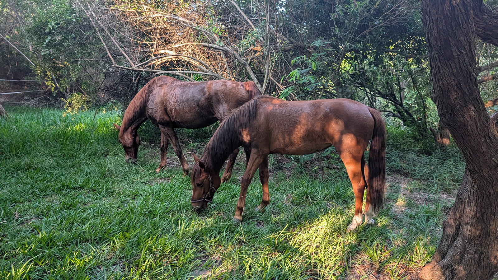 Dune Beach Hostel image 7