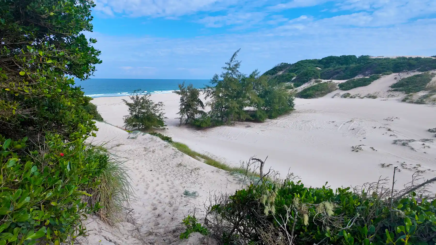 The Beach seperated by dunes from the Hostel