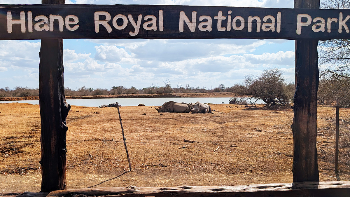Royal Hlane National Park - Eswatini