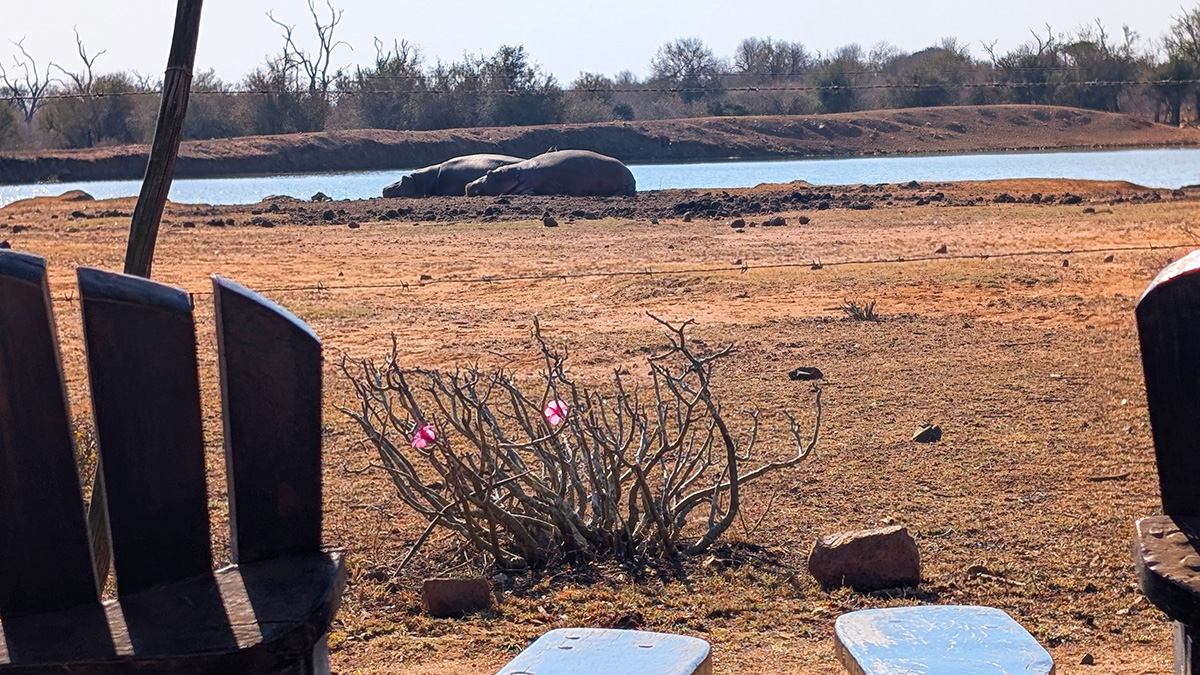 Royal Hlane National Park - Eswatini
