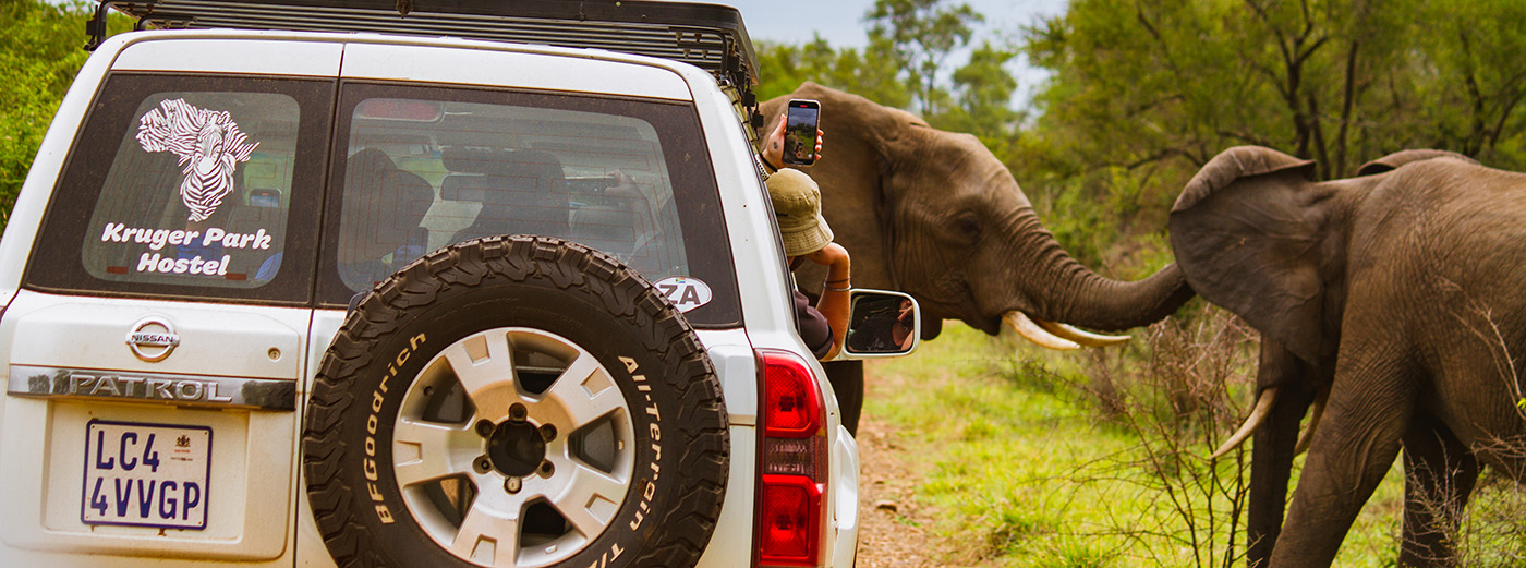 Guests viewing elephants while on camping safari in the Kruger National Park