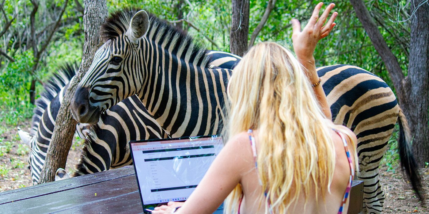 Office view upgrade: Where zebras join your Zoom calls