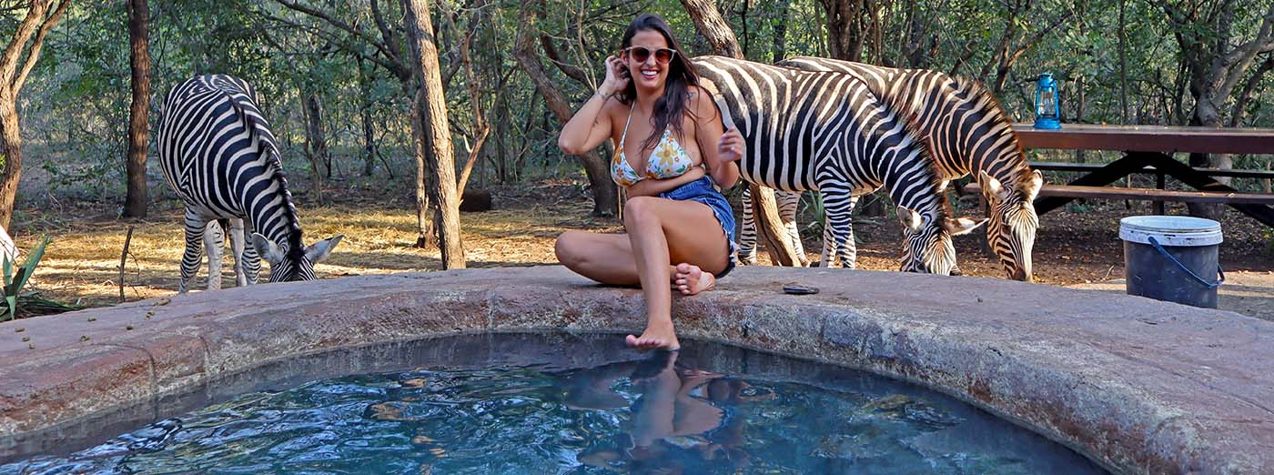Swimming Pool at Kruger Park Hostel